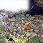 Una nueva masacre se registró en Chanduy.