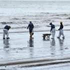 Trabajadores realizan tareas de limpieza en la playa Las Palmas.