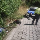 Los tres baleados fueron abandonados en un costado de la vía adoquinada.