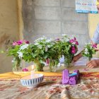 En la sala de la casa levantaron un pequeño altar con flores y encendieron una vela.