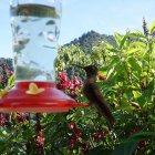 En la zona existen  miradores de aves exóticas como colibríes.