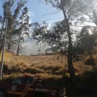 Los incendios sobrepasan la capacidad de los bomberos, y estos han solicitado asistencia militar.