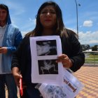 Defensores de animales denunciaron el hecho.