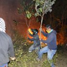 Con ramas de árboles intentaban apagar el intenso fuego.