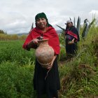 Los salasakas consideran al agave un producto sagrado, porque les da alimento y vestido.