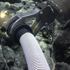 El huevo dorado fue hallado en el Océano Pacífico.