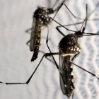 Entre las recomendaciones consta acudir a un centro de salud al sentir fiebre, dolores en la cabeza, detrás de los ojos, en músculos y articulaciones.