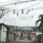 ¡Todo un clásico! Solo los buenos peloteros saben lo que significa colgar los zapatos viejos en los cables. Una tradición (quizá no correcta) en los sectores más populares de la ciudad.