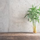 Además de ser elegante y resistente, sus brotes tiernos sirven para el consumo humano.