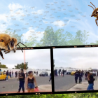 Las personas, en la entrada del panteón, se movían con desesperación de un lado a otro para evitar a los insectos.