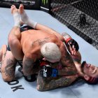 Chito y O'Malley tendrán la revancha del combate del 2020, esta vez por el título.