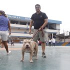 ¡Quieto Zeus! Ricardo Sánchez fue con su guardián canino, que está adiestrado para atacar.