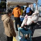 Una comerciantes en Quito no tuvo con quien dejar al "guagua" y tuvo que llevarlo a trabajar, emplasticando documentos.