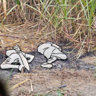 Las dos personas quemadas también presentaban indicios que haber sido atacadas por acción de un arma de fuego.