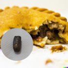 La víctima compartió su experiencia en sus redes sociales y adjuntó la evidencia de la bala.