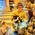 Personal del Cuerpo de Bomberos rescató a los animalitos.