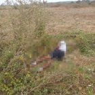 El cadáver no tenía documentos de identificación.