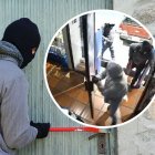 Los delincuentes estaban encapuchados y tenían guantes.