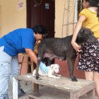 La doctora Susan Guerrero sigue asistiendo a Adele, mientras su dueña no se separa de ella.