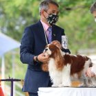 La primera edición del PetFest en Expoplaza.