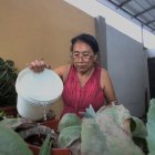 Para evitar resequedad, Rosa Tumbaco reserva un poco de agua que guardó para regar sus plantas.