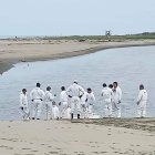 Activan protocolos por gripe aviar.