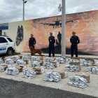 La droga incautada por la Policía Antinarcóticos.