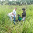 El cuerpo del joven fue hallado entre matorrales en el sector de Santa Rita.