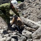 Durante el ejercicio de búsqueda en estructuras colapsadas participaron canes
entrenados.