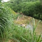 El cadáver estaba flotando en un río.