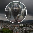 Esta organización sería la responsable del incremento de algunos delitos en la ciudad.