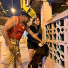 El momento en que quedó atrapado el perro.