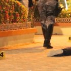 Botellas de cervezas quedaron cerca de los cuerpos tendidos en el parque.