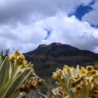 En la ruta se pueden observar a un activo volcán Chiles o el Cerro Negro y Panza de Azúcar, ideales para practicar andinismo o hacer excursión.