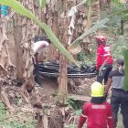 Bomberos junto con la Policía recuperaron el cuerpo que estaba entre matas de plátanos.