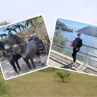 Autoridades argentinas retuvieron a la mujer y otras personas en una lujosa casona en la ciudad de Córdoba.