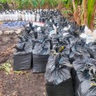 Expertos sostienen que la histórica incautación de droga en Vinces podría traer retaliaciones.