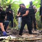 Las armas estaban enterradas en una zona de cultivos de plátano.