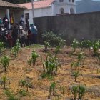 Durante la aplicación de justicia indígena en la plaza central de Santa Marianit
