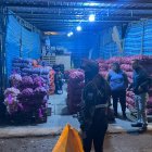 Los allanamientos se llevaron a cabo en Loja y El Oro.