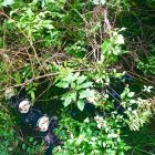 Hernán Mendoza es buscado por policías y bomberos en quebradas de Quito.