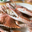 A diferencia del cangrejo, la jaiba no tiene vedas. Se la puede consumir todo el año.