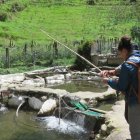 En una piscina los turistas pueden capturar las truchas con caña o a la manera ancestral, atrapándolas con las manos.