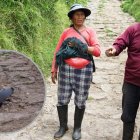 Según los dueños del predio, este es el primer hecho de este tipo que ocurre en 50 años.