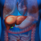 Conoce los beneficios de esta planta, cómo preparar un té nutritivo y las precauciones a tener en cuenta.