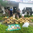 Los agentes decomisaron la droga para colocarla con la respectiva cadena de custodia.