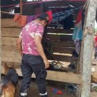 El can ‘señaló’ el punto donde estaba la menor de edad.