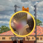 Imagen real muestra como el intruso quedó pegado a la puerta.