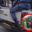 La placa del vehículo municipal donde se llevaron los cangrejos no se veía.