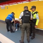 La chica confesó que bebió licor antes de entrar a la estación.